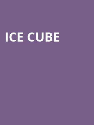 Ice Cube, Meridian Centre, Niagara Falls